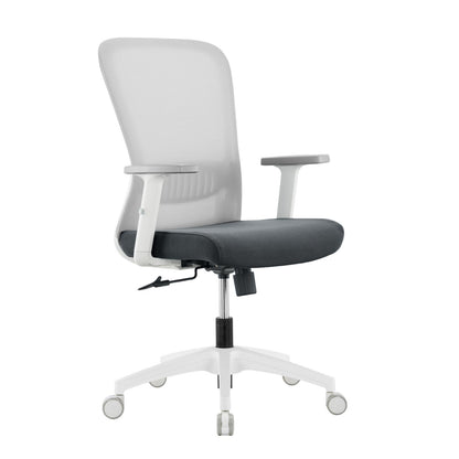 Aston Grey/White Chair