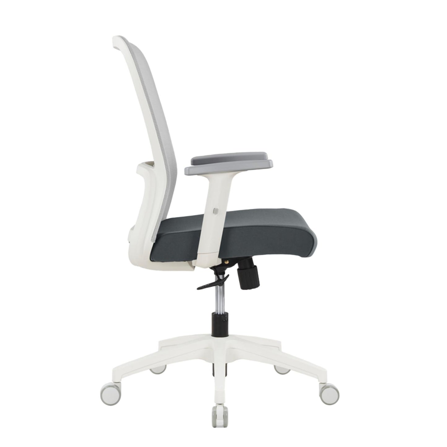 Aston Grey/White Chair